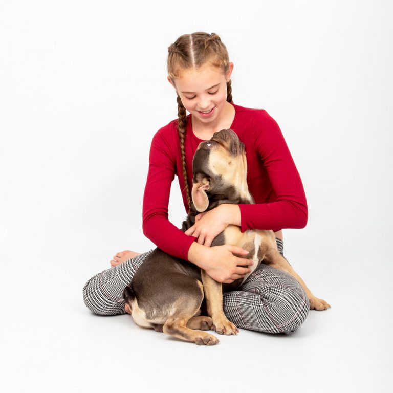 pet photoshoot dogs